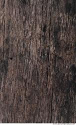 Wood Textures